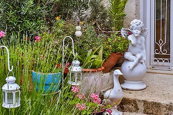 My Stone - Special Category