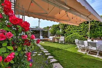 My Stone - Special Category 3*