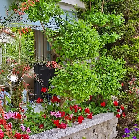 여관 My Stone - Special Category