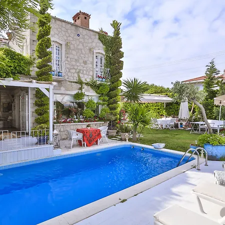 My Stone - Special Category