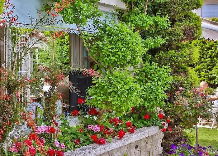 宾馆 My Stone - Special Category