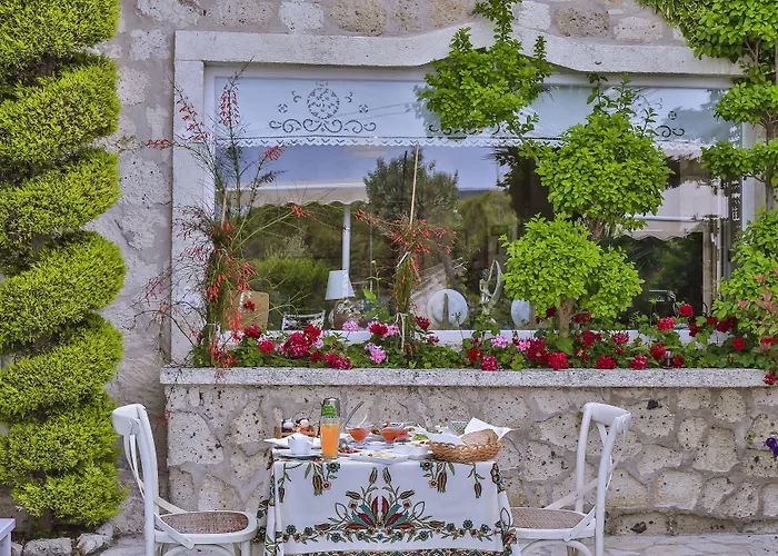 宾馆 My Stone - Special Category