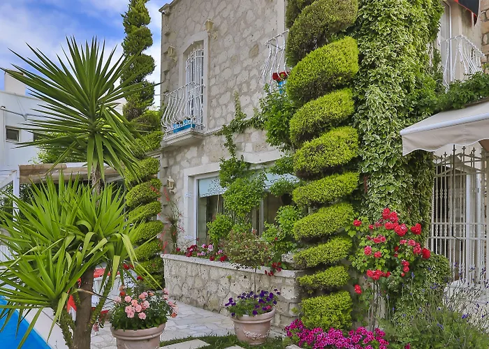 宾馆 My Stone - Special Category 3*