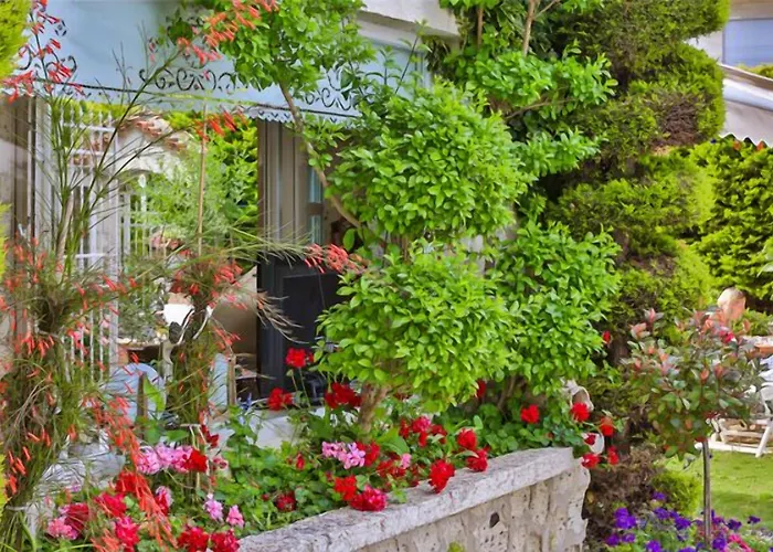 My Stone - Special Category 宾馆