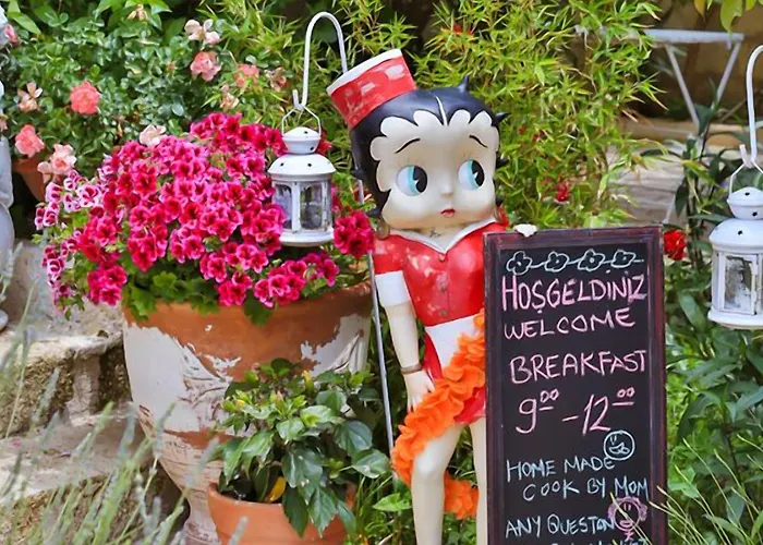 My Stone - Special Category 宾馆