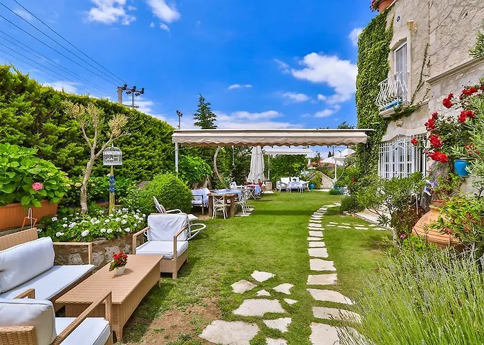 宾馆 My Stone - Special Category